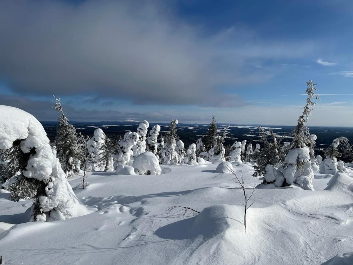 Apt 37 Rovaniemi Exteriör bild