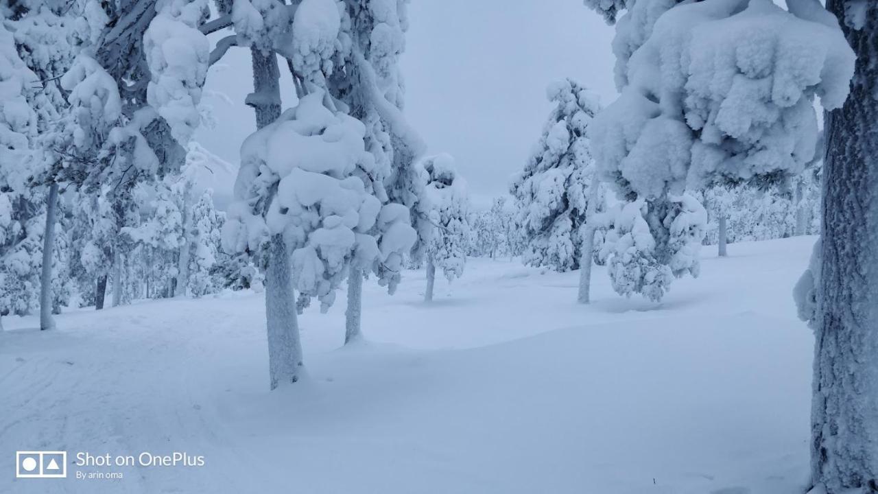Apt 37 Rovaniemi Exteriör bild