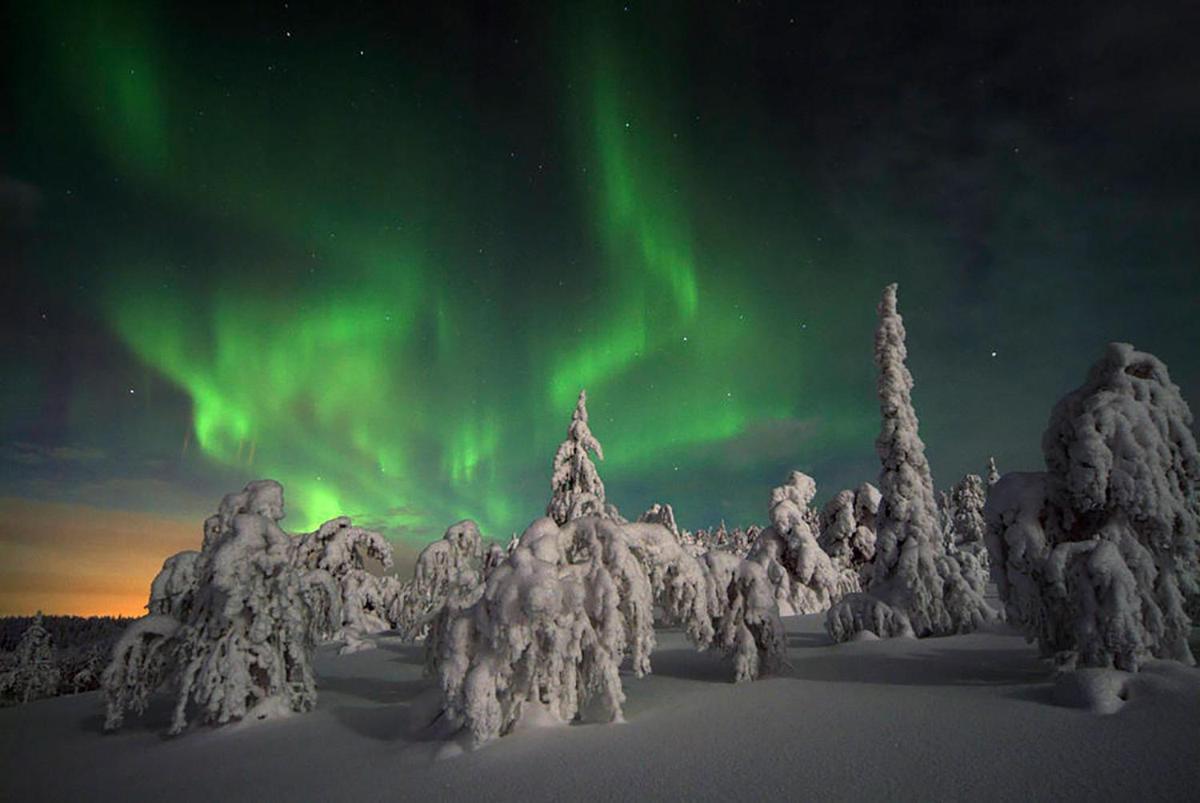 Apt 37 Rovaniemi Exteriör bild